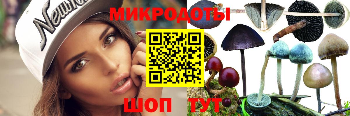 Грозный  Галлюциногенные грибы GOLDEN TEACHER  Вход с VPN 