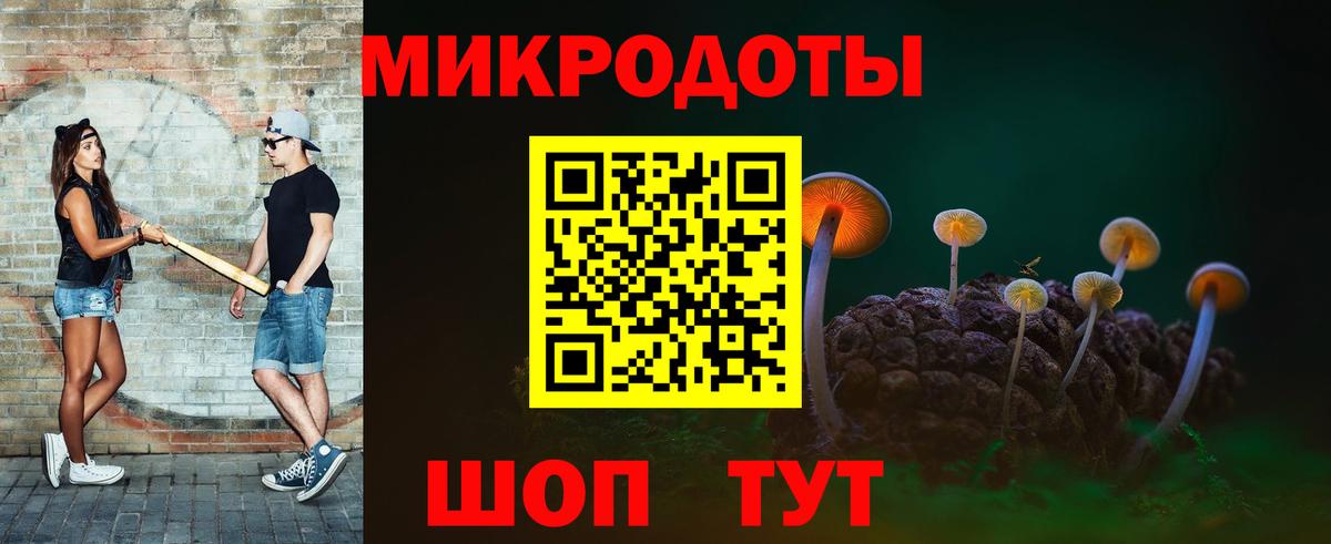 Псилоцибиновые грибы Cubensis Грозный